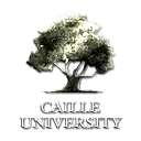 Corporation: University of Caille