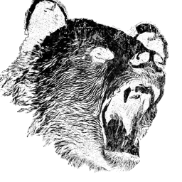 Alliance: Aggressively Passive Bears
