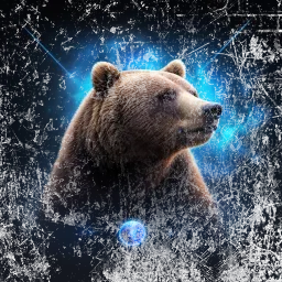 Alliance: Wild Ones