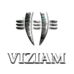 Corporation: Viziam