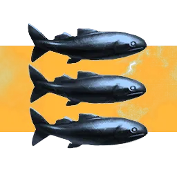 Corporation: Bob's Fish and Computers