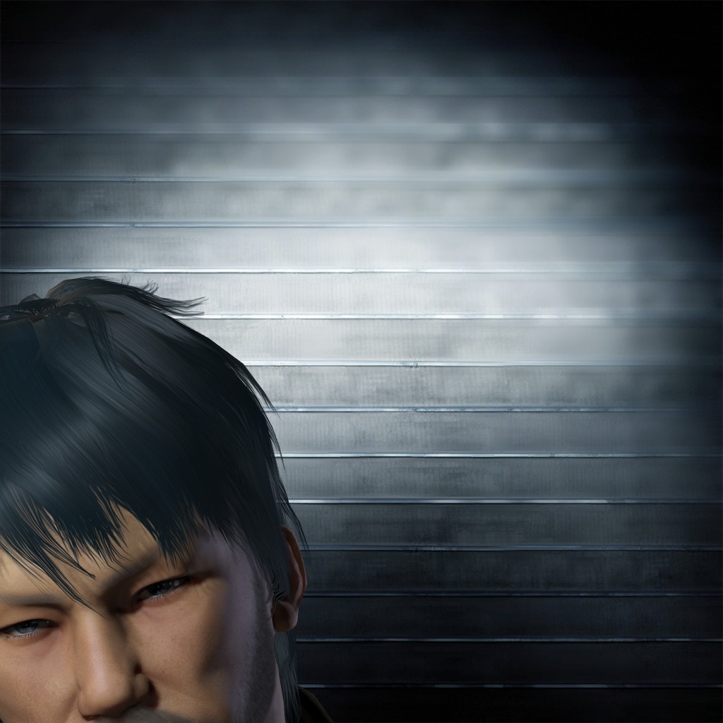 Ronin Metesur