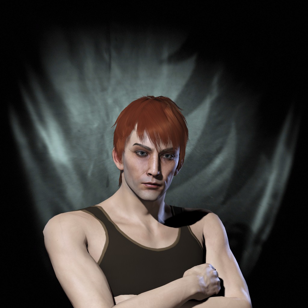 Crokus Einlanzer