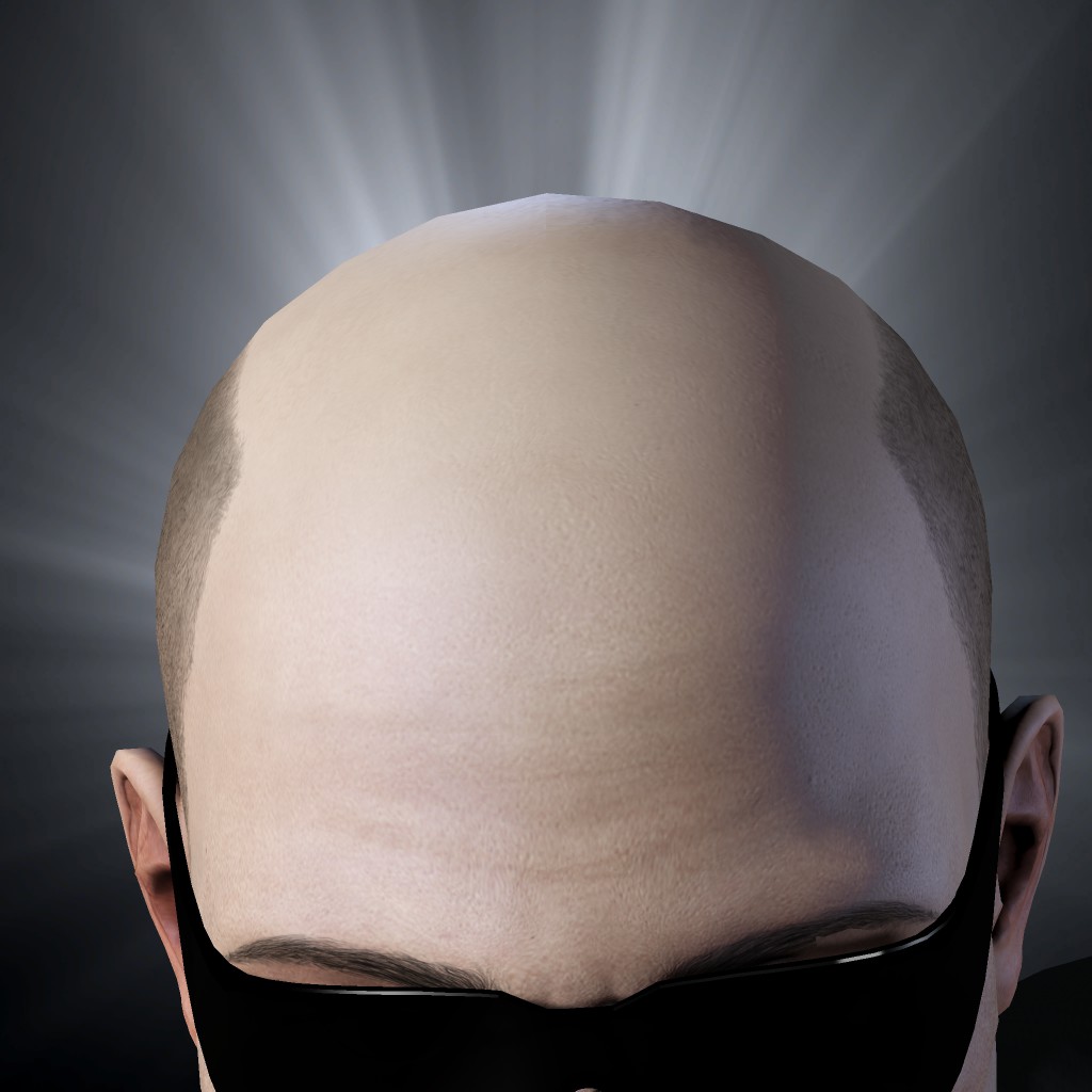 Logi Bori