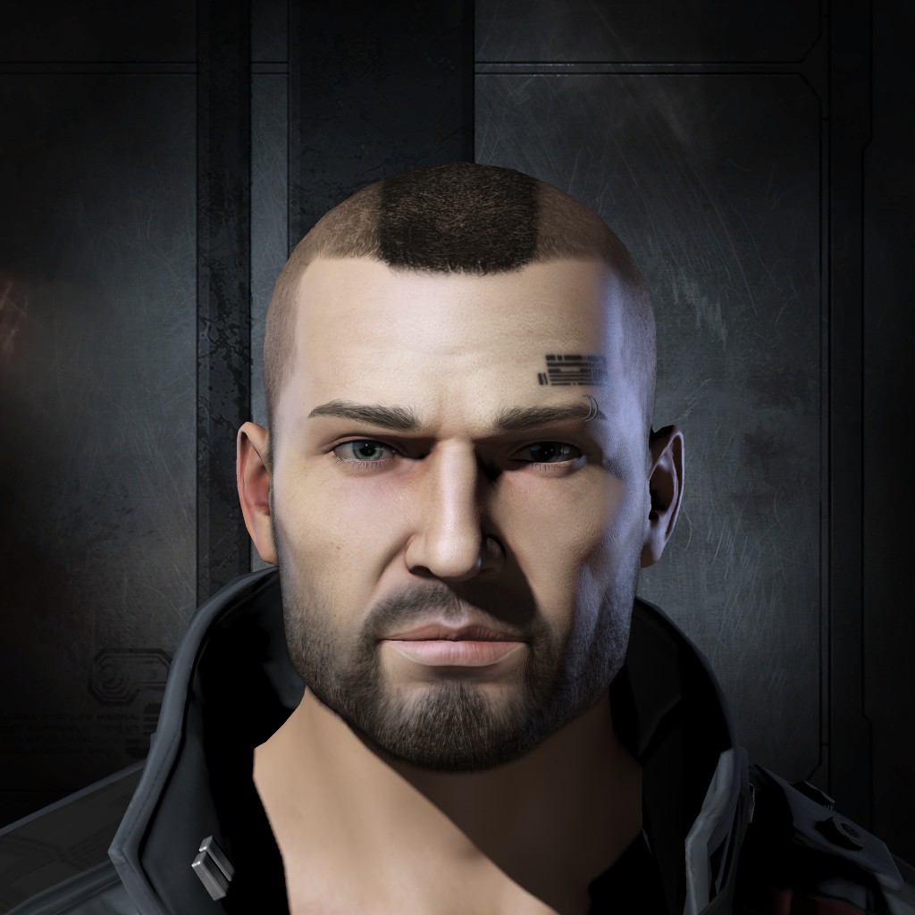 Vilkat