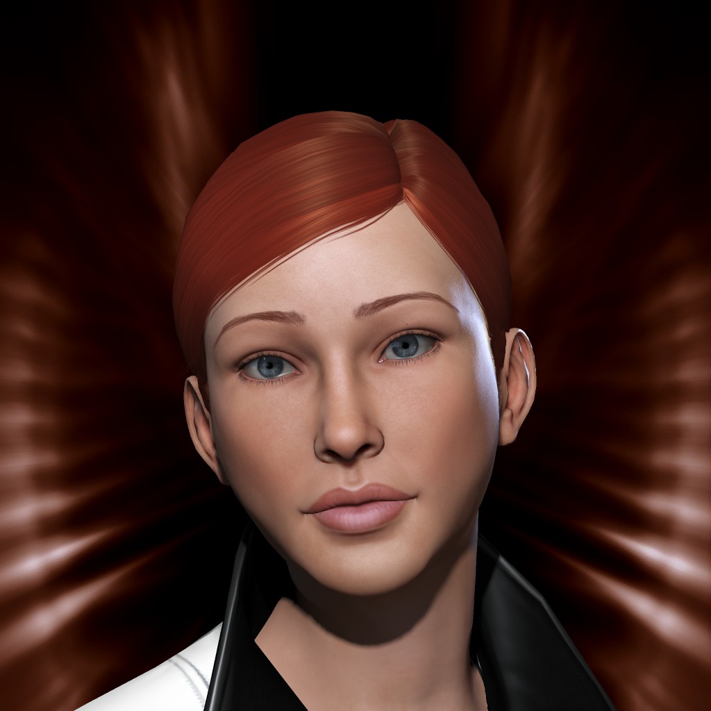 Bolly Duster