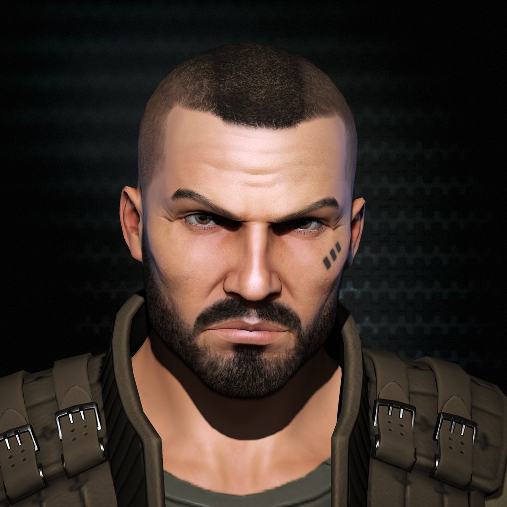 Ukrainian punisher