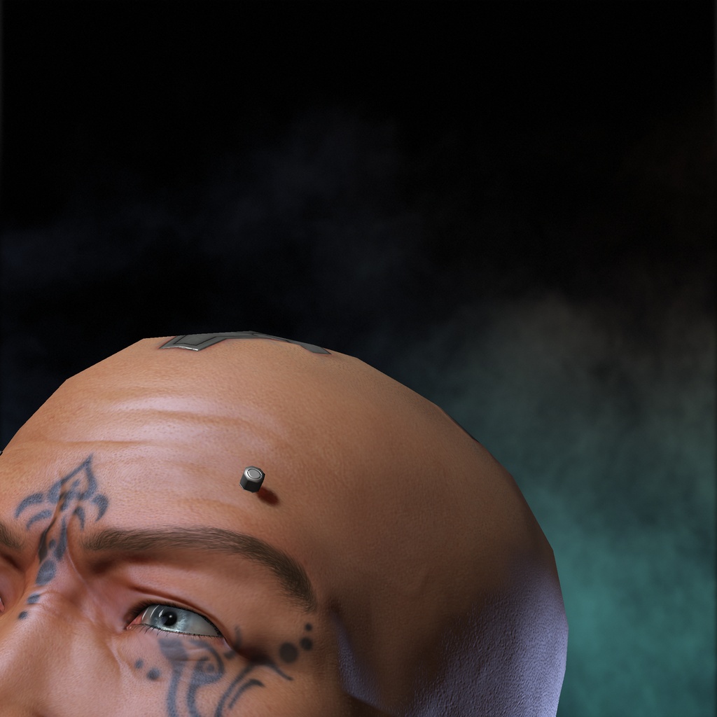 TheBlueZealot