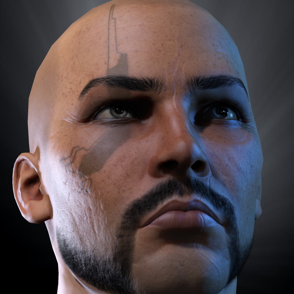 Zbarf Serp