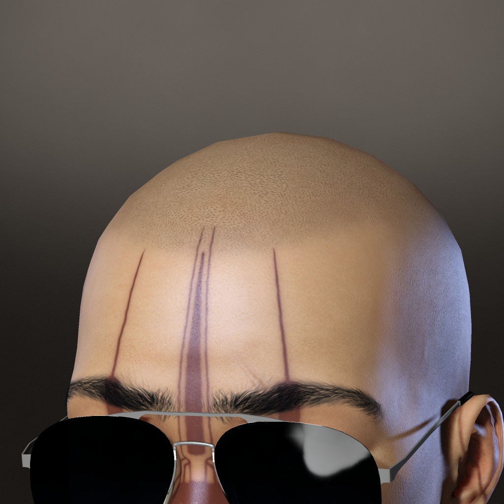 InCurseRUS Pilot