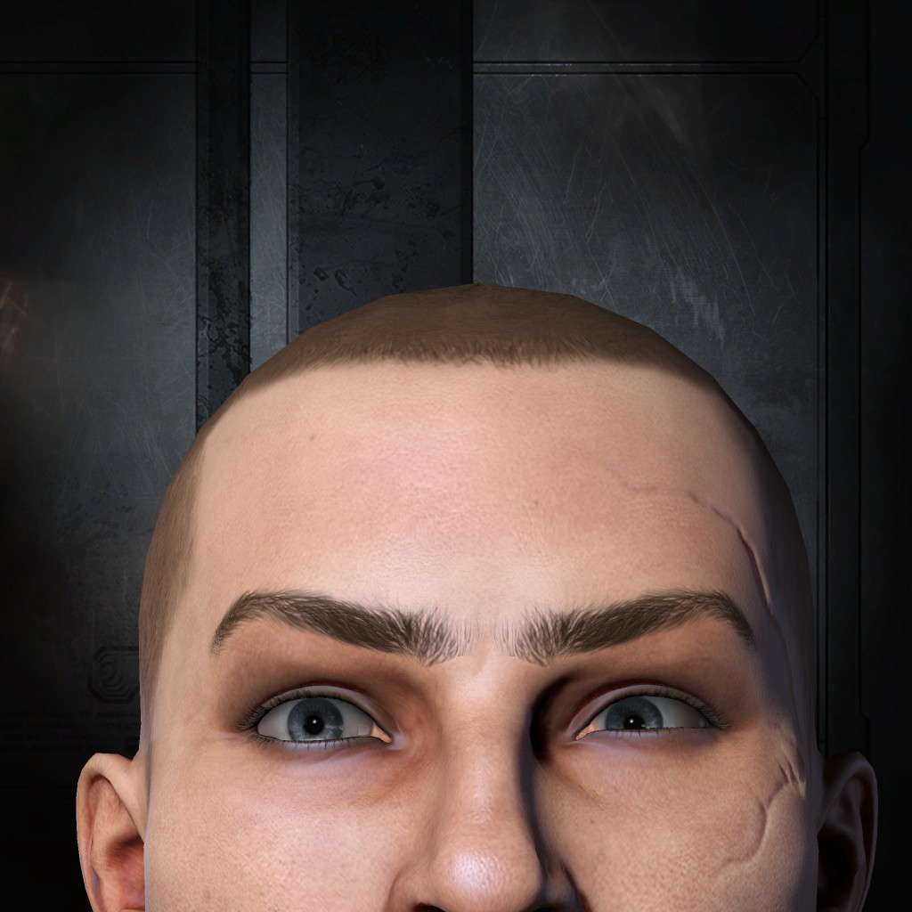myriad steiner