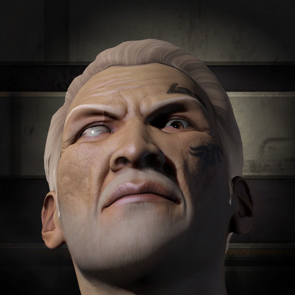 The Last Falcon