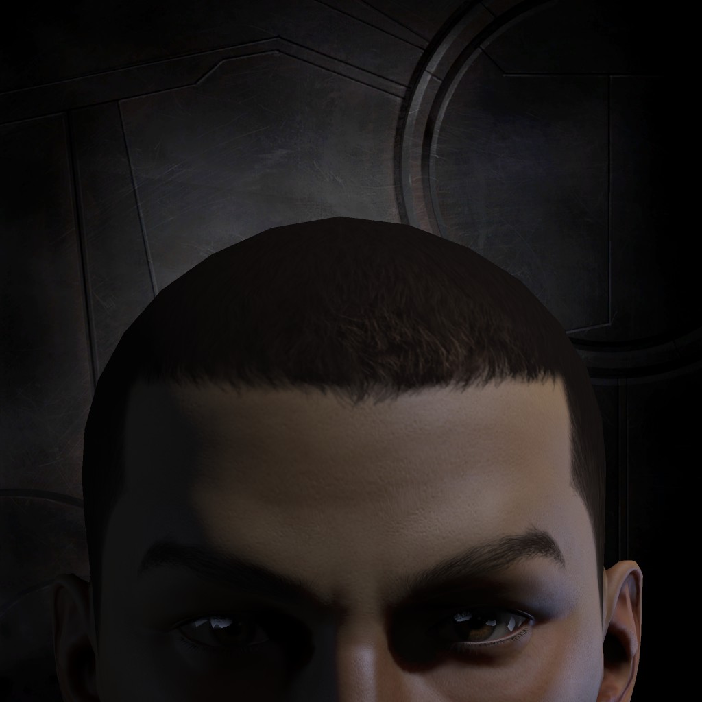 Zed Seer