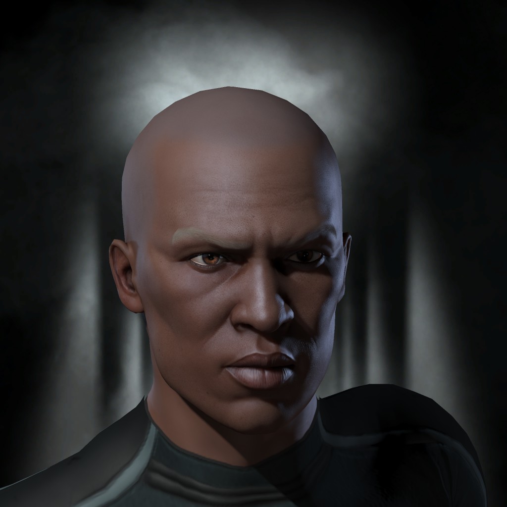 commander bau