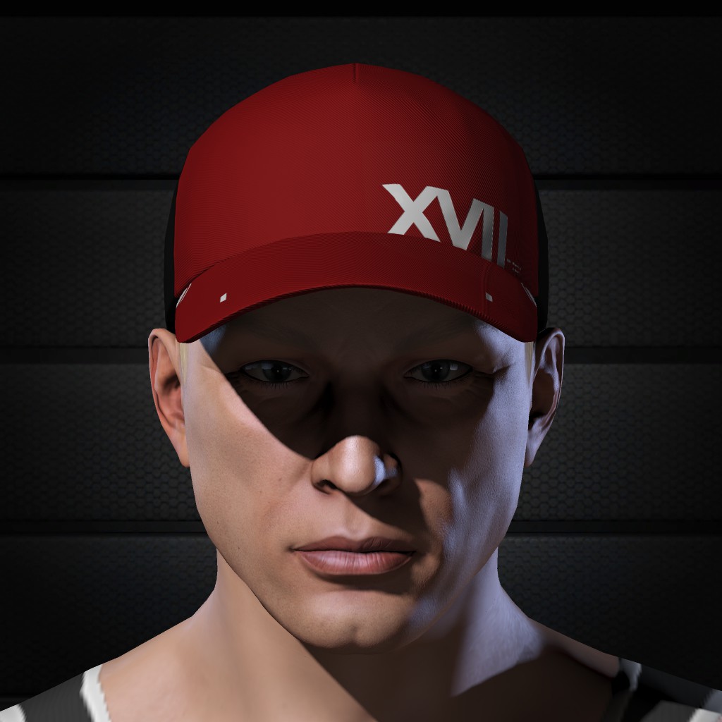 Punisher Hilanen