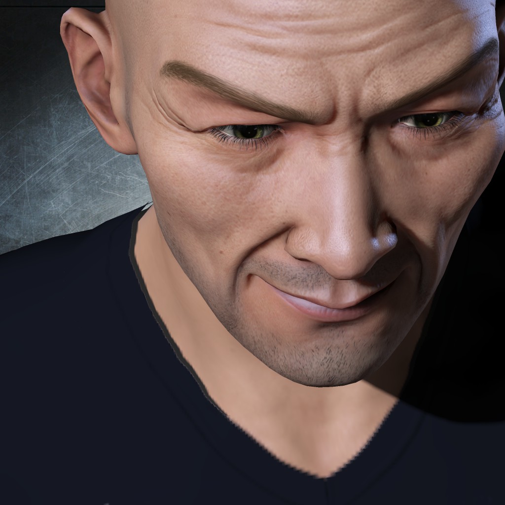 Bjork Lupus