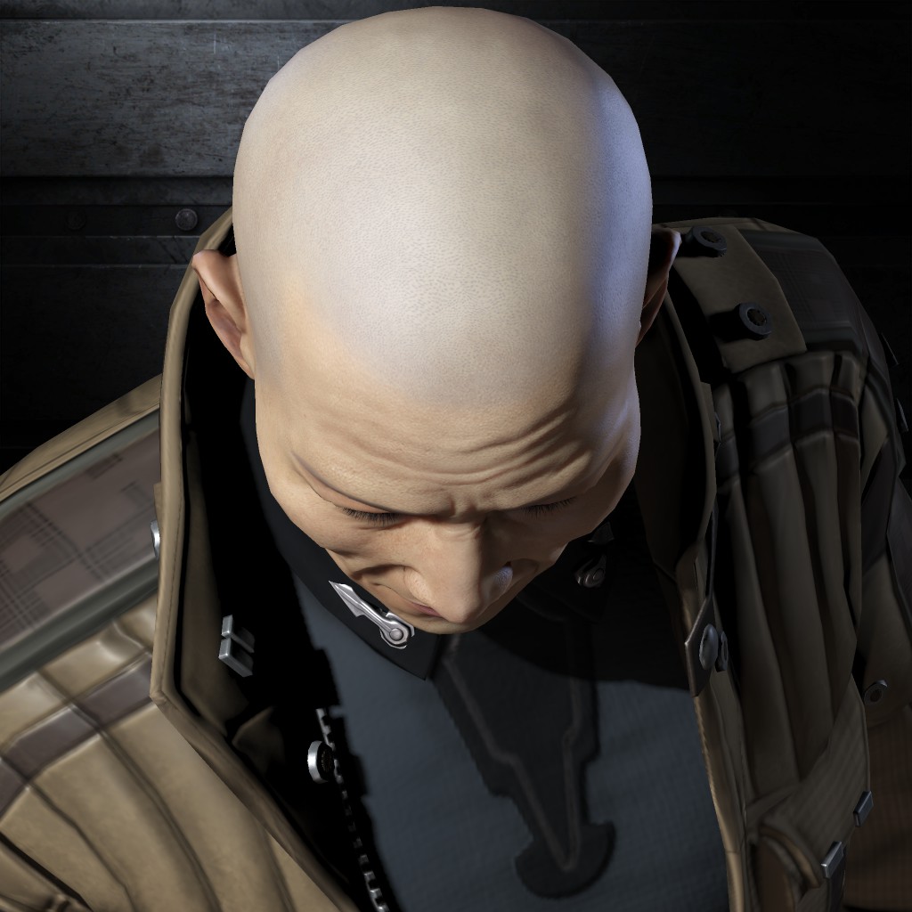 Berkenstrips Berken