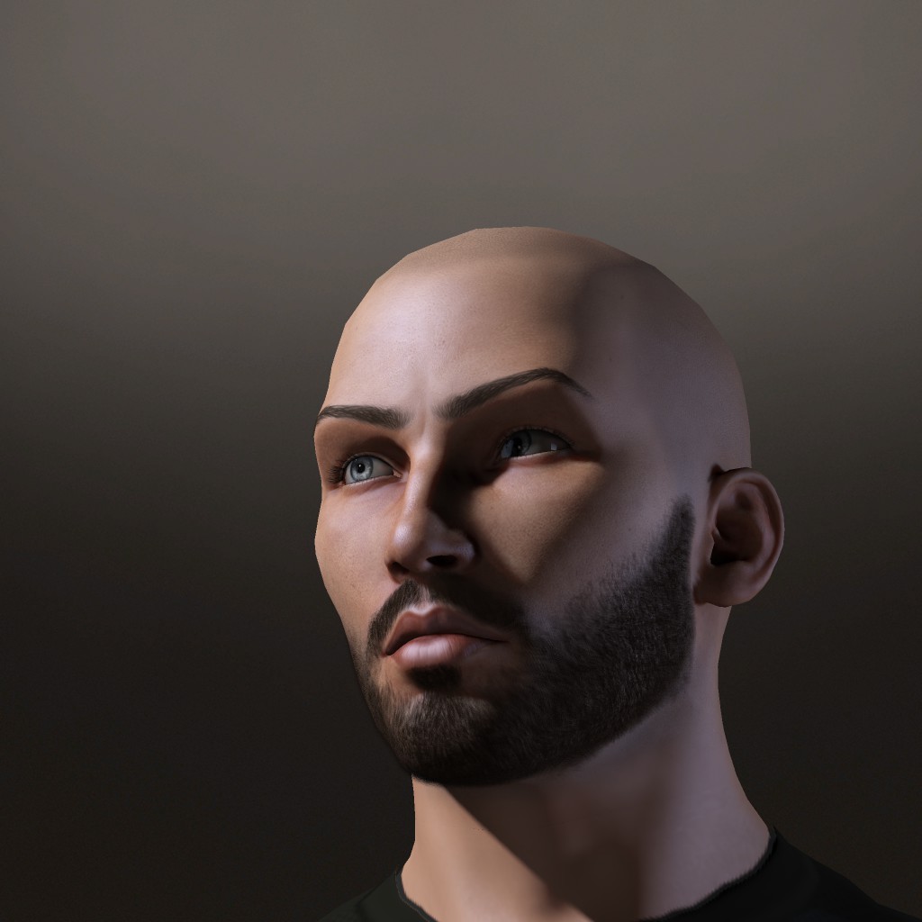 Merk Crendraven