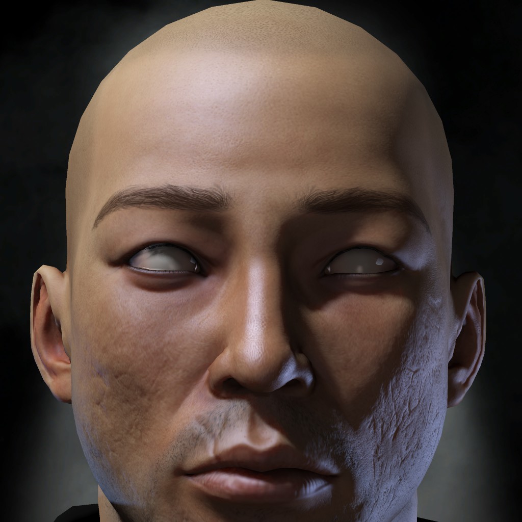 Last Visage