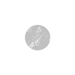 Cygnus Research