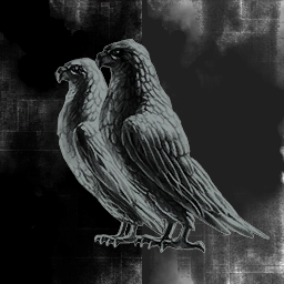 The Observers