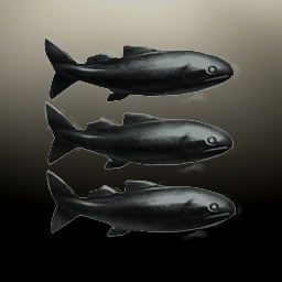 BLACKFISH ENTERPRISE