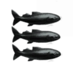 Very Fishy Fish
