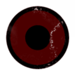 The Institute for Swine Astronautics
