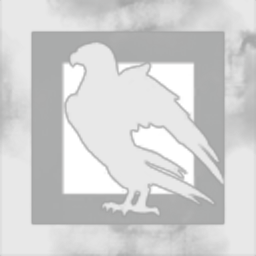 The Bird LLC