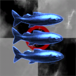 Fisch Bombenflugzeug