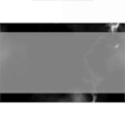 Mr. Clean's Disposal Service