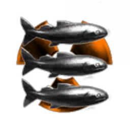 Small fish Corporation