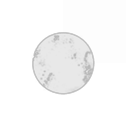 Ellipsis.