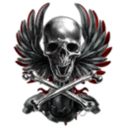 Black Wings Inc.
