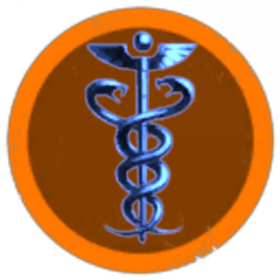 Palvicmg Corporation