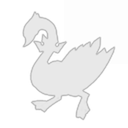 Ugly Ducklings Corporation