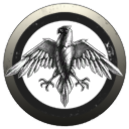 Raven Accord Holdings