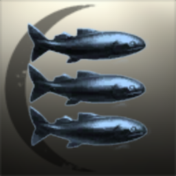 Acipenser stellatus