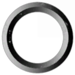 The Newbie Fight Club