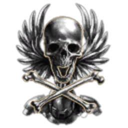 Night Wolves cartel