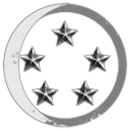 Silent Moon Trade and Investment Group