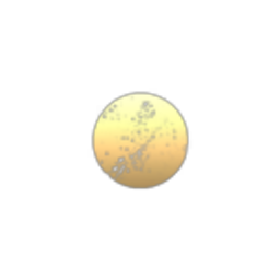 Solar Explorers