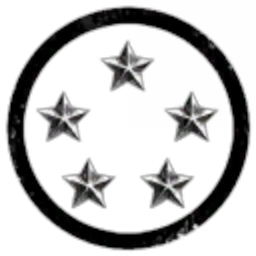 13th STAR FLEET