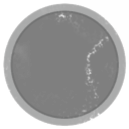 Grey Goo Corp.