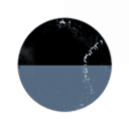 Blue Force Capital
