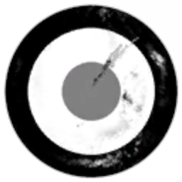 Torus Inc.