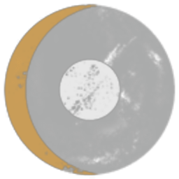 Cislunar Directorate