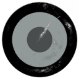 ISS-Vostok 17