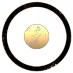 Citadel Alpha