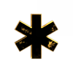 Interstellar Soultions Inc.